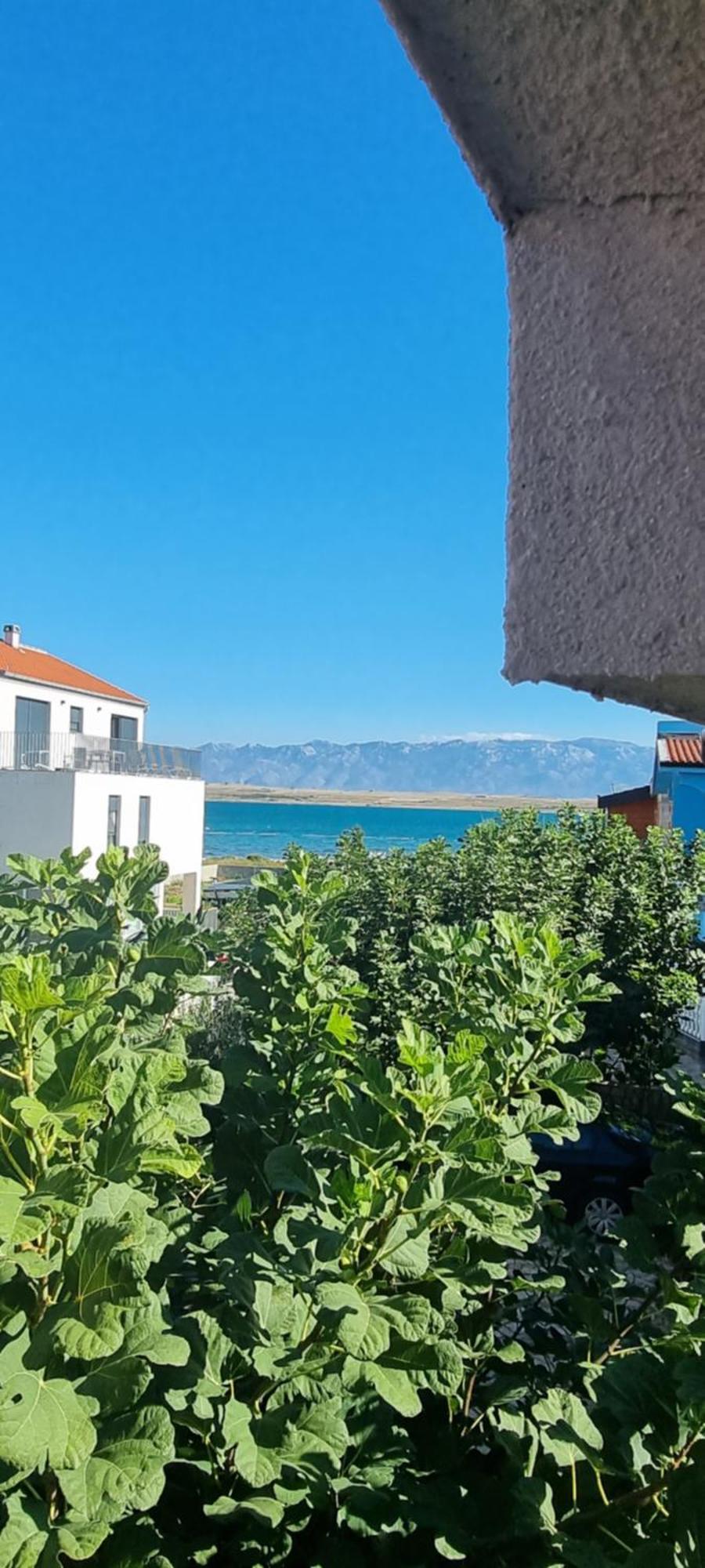 Villa Marija فير المظهر الخارجي الصورة